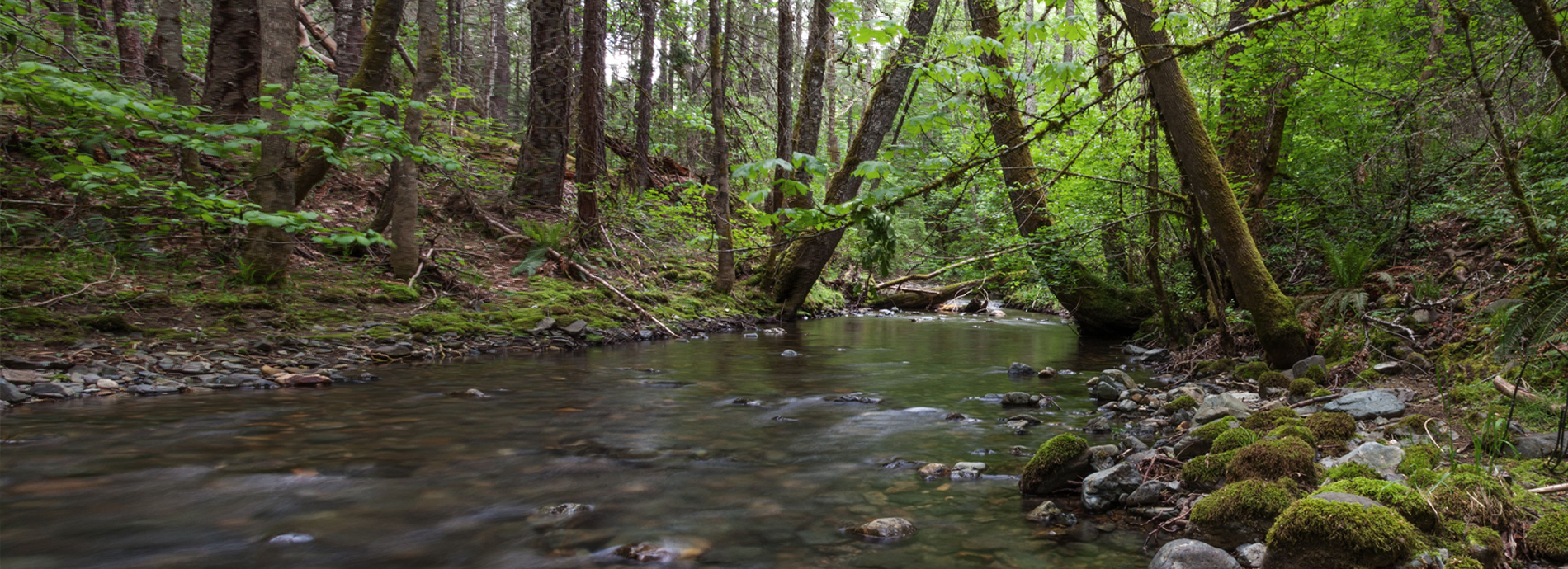 Munger Creek